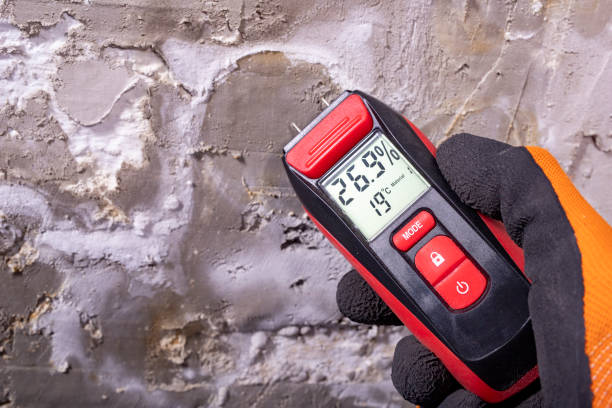 Best Local Mold Removal Service  in Leeds, AL