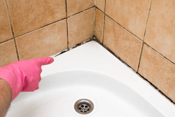 Best Mold Testing and Removal  in Leeds, AL